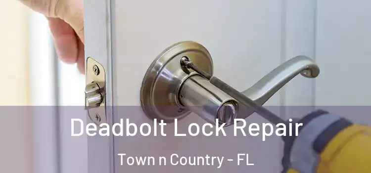 Deadbolt Lock Repair Town n Country - FL