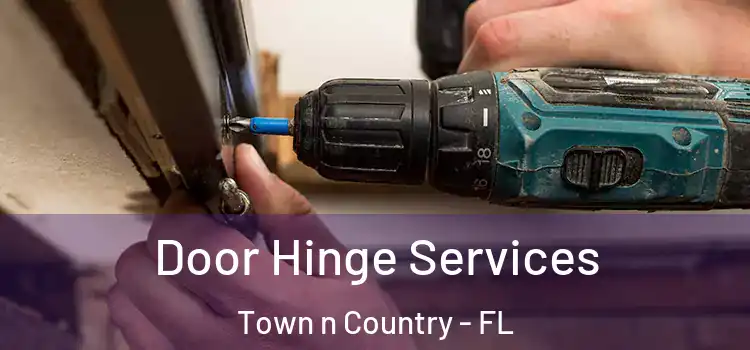 Door Hinge Services Town n Country - FL