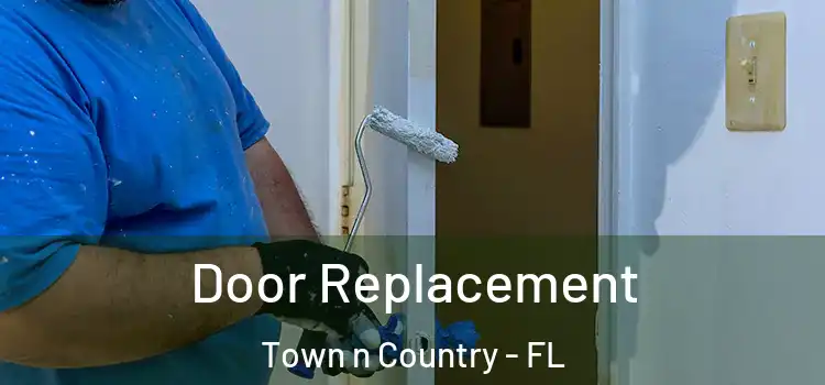 Door Replacement Town n Country - FL