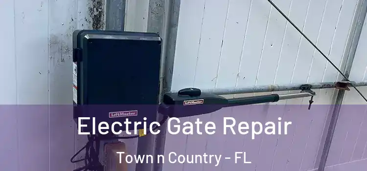 Electric Gate Repair Town n Country - FL