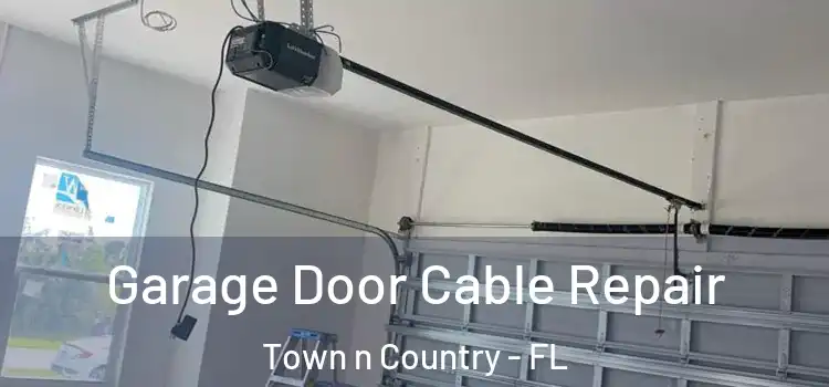 Garage Door Cable Repair Town n Country - FL