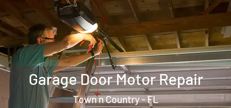  Garage Door Motor Repair Town n Country - FL