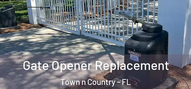 Gate Opener Replacement Town n Country - FL