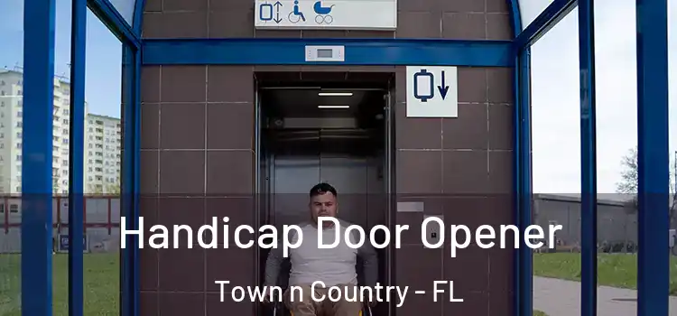 Handicap Door Opener Town n Country - FL