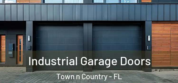  Industrial Garage Doors Town n Country - FL