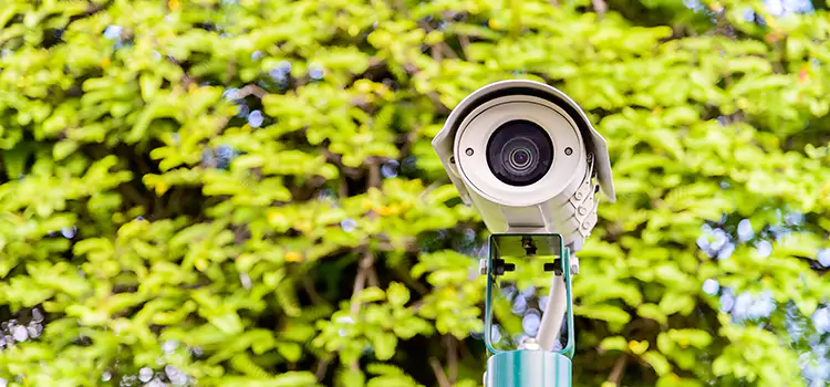 Advanced Surveillance Solutions for Every Need in Town n Country