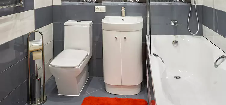 Hansgrohe Shaving Mirror Town n Country