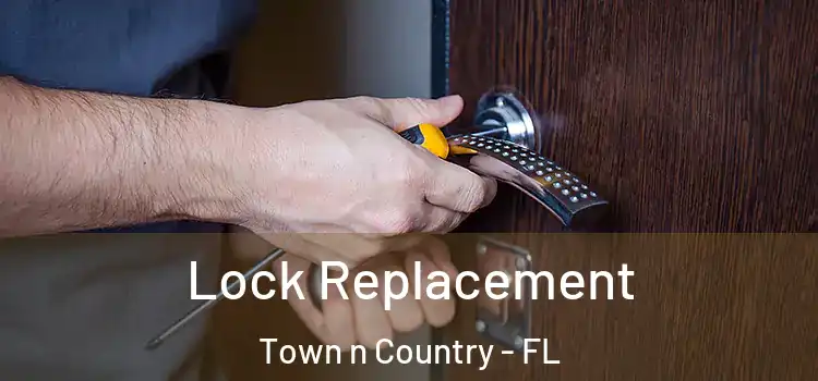 Lock Replacement Town n Country - FL