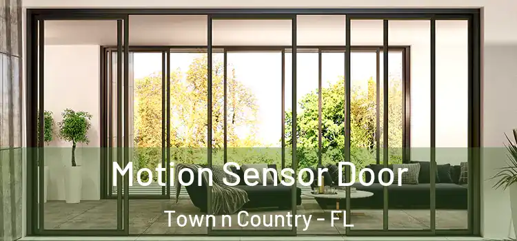 Motion Sensor Door Town n Country - FL