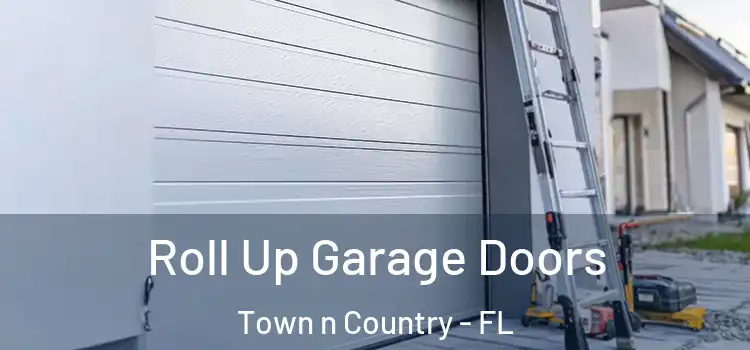  Roll Up Garage Doors Town n Country - FL