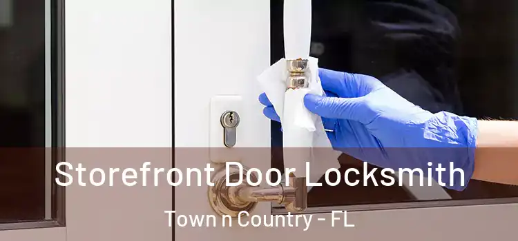 Storefront Door Locksmith Town n Country - FL